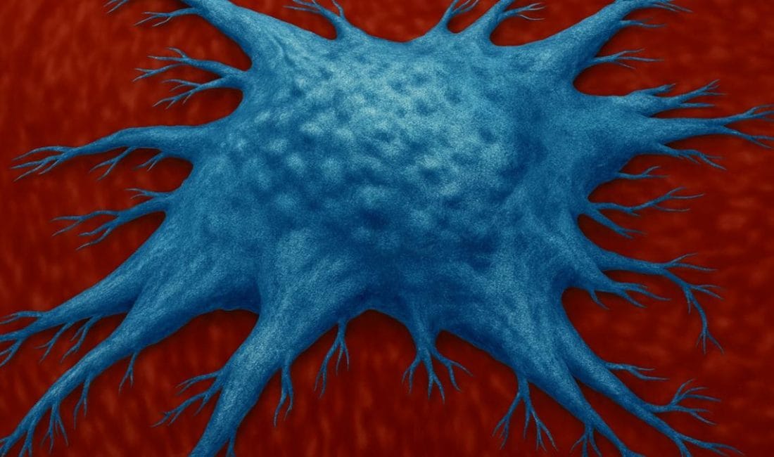 CD4‑Eomes Hücreleri: Yaşlanmayla Mücadelede Bağışıklığın Beklenen Koruyucuları Araştırma ekibi, bu