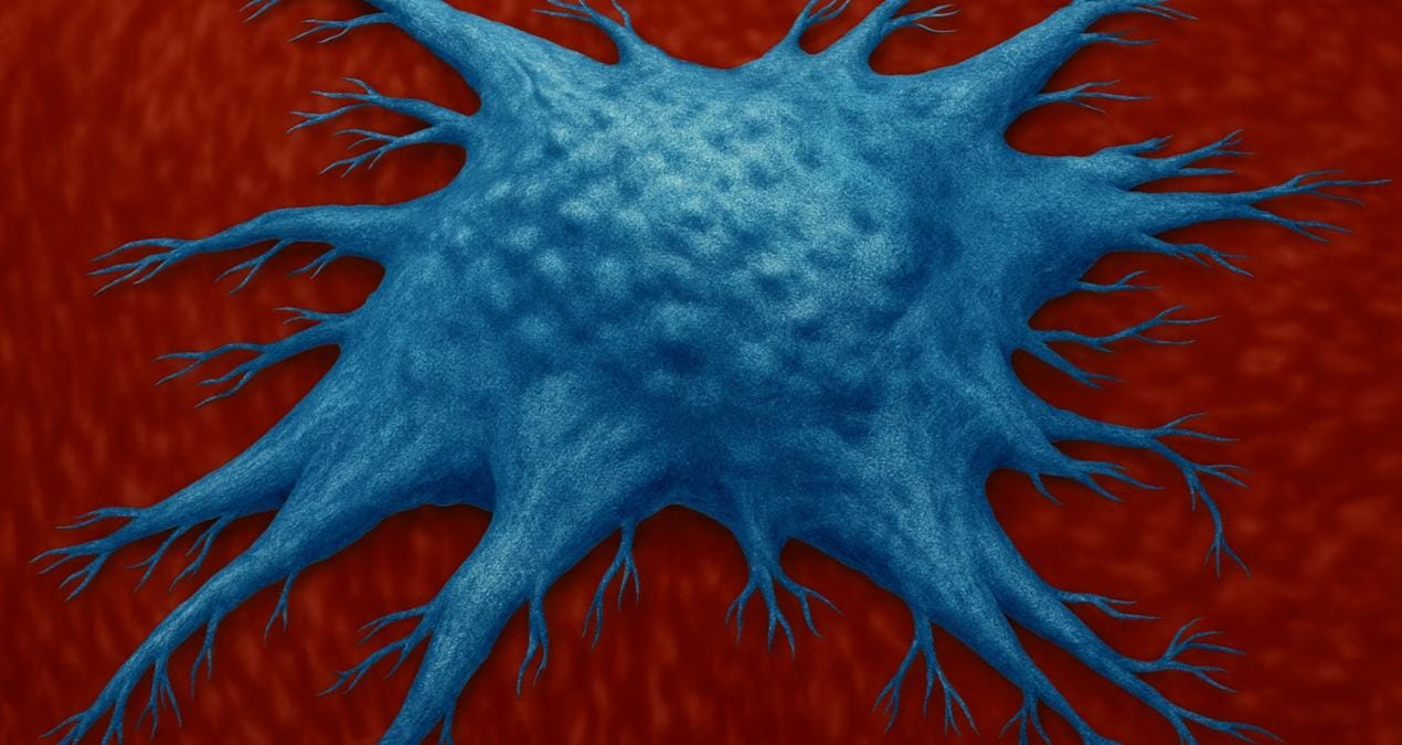 CD4‑Eomes Hücreleri: Yaşlanmayla Mücadelede Bağışıklığın Beklenen Koruyucuları Araştırma ekibi, bu