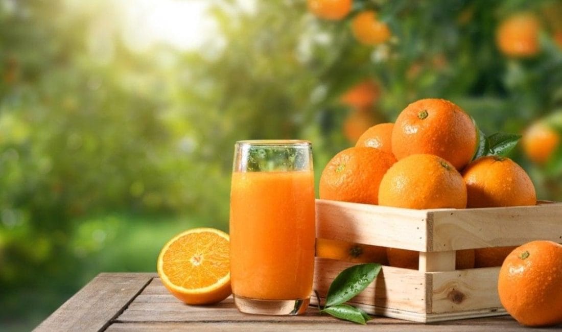 C Vitamini Kış Aylarında Neden Önemli? Kış aylarında soğuk algınlığı