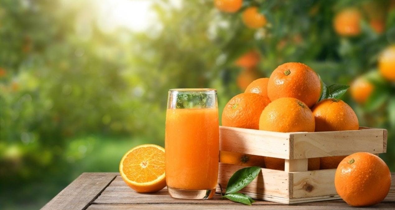 C Vitamini Kış Aylarında Neden Önemli? Kış aylarında soğuk algınlığı