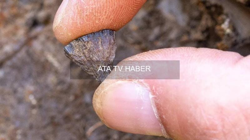 Barnham'da 400 Bin Yıllık Ateş İzleri: Pirit ve Çakmaktaşıyla Kontrol Edilen Ateş Kullanımı Kanıtlandı