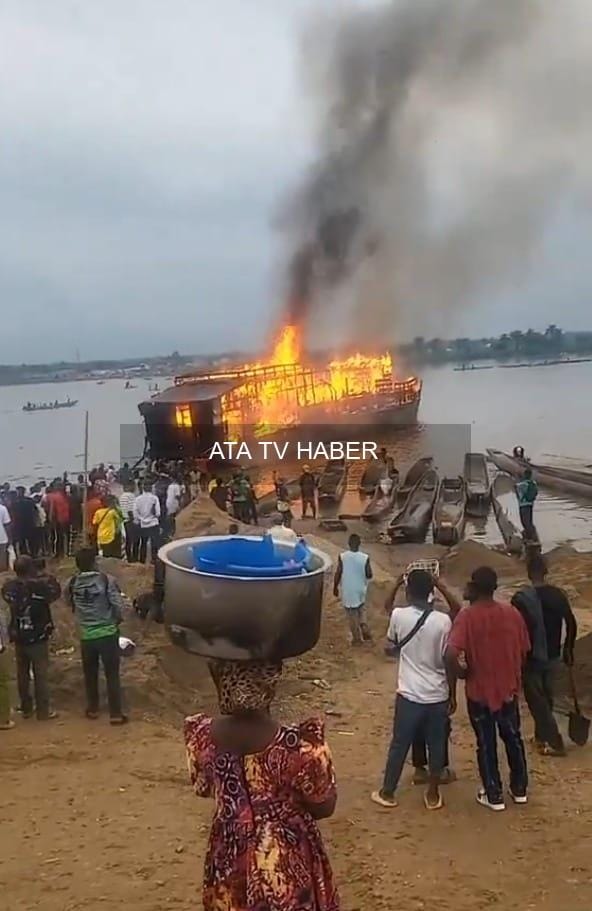 Noah'ın Gösteri ve Festival Katılımı