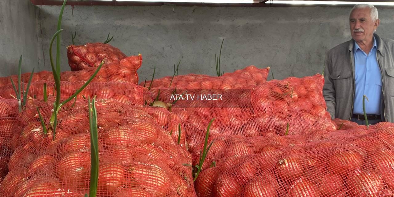 Yozgat ve Çorum'da üretilen soğan ile patates tarlada kaldı