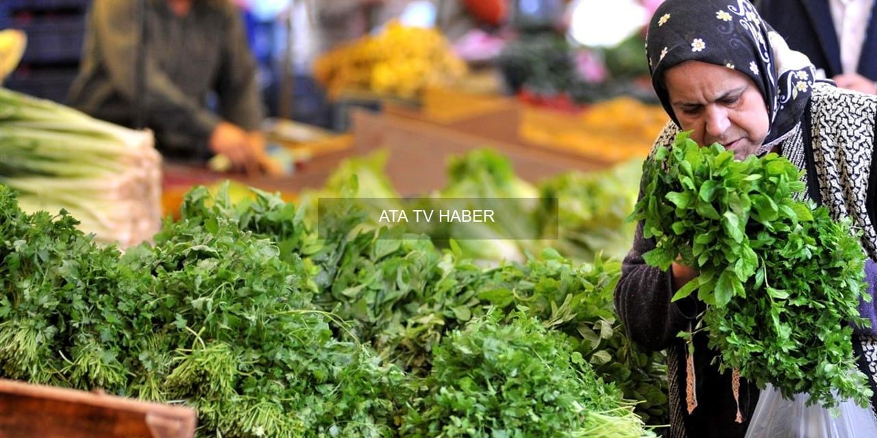 Fiyat Farkında Lider: Mandalina