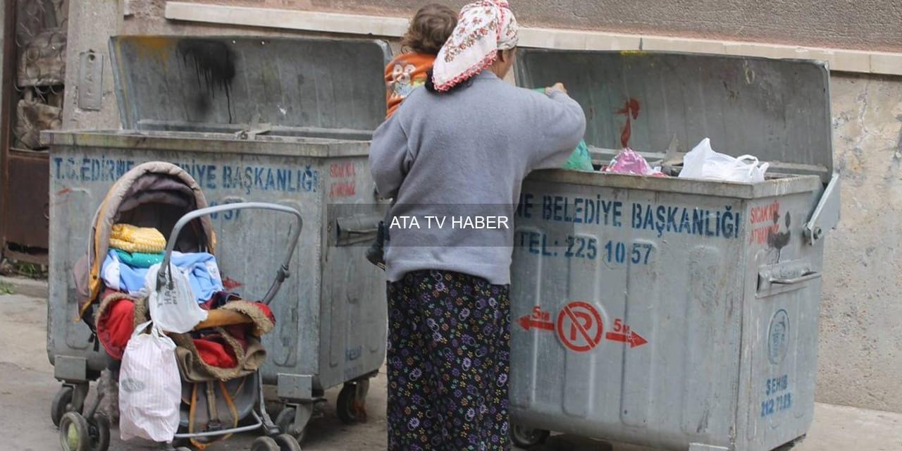 Genel Görünüm ve Temel Bulgular