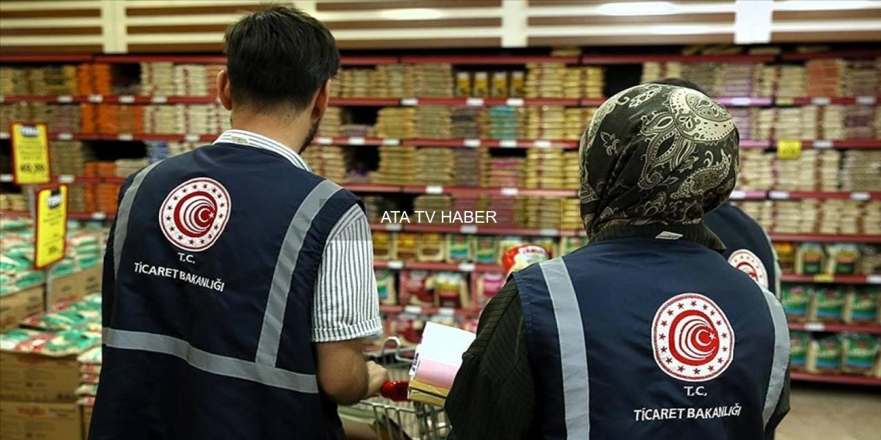 Genel Denetim Sonuçları ve Toplam Cezalar