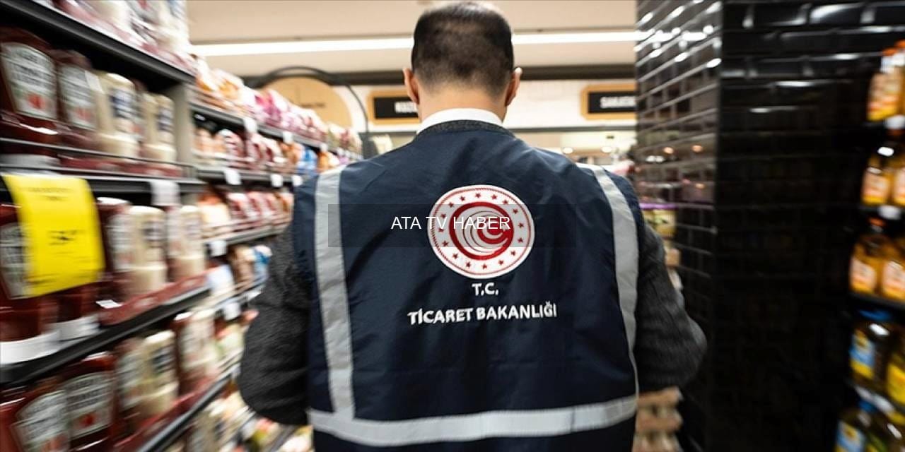 Sektör ve Konu Bazında Uygulanan Cezalar