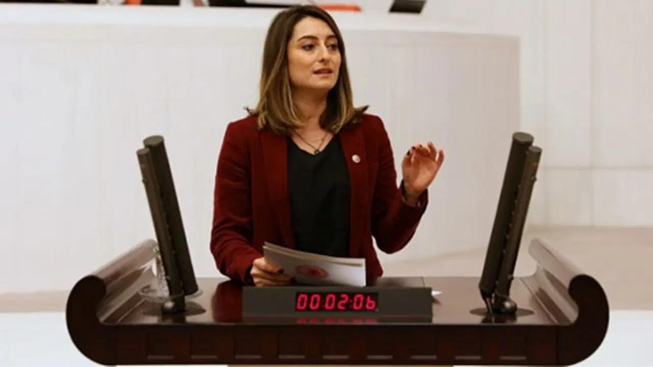 Mecliste Çocuk Koruma Politikaları ve Tartışmalar TBMM’de Suça Sürüklenen Çocuklara
