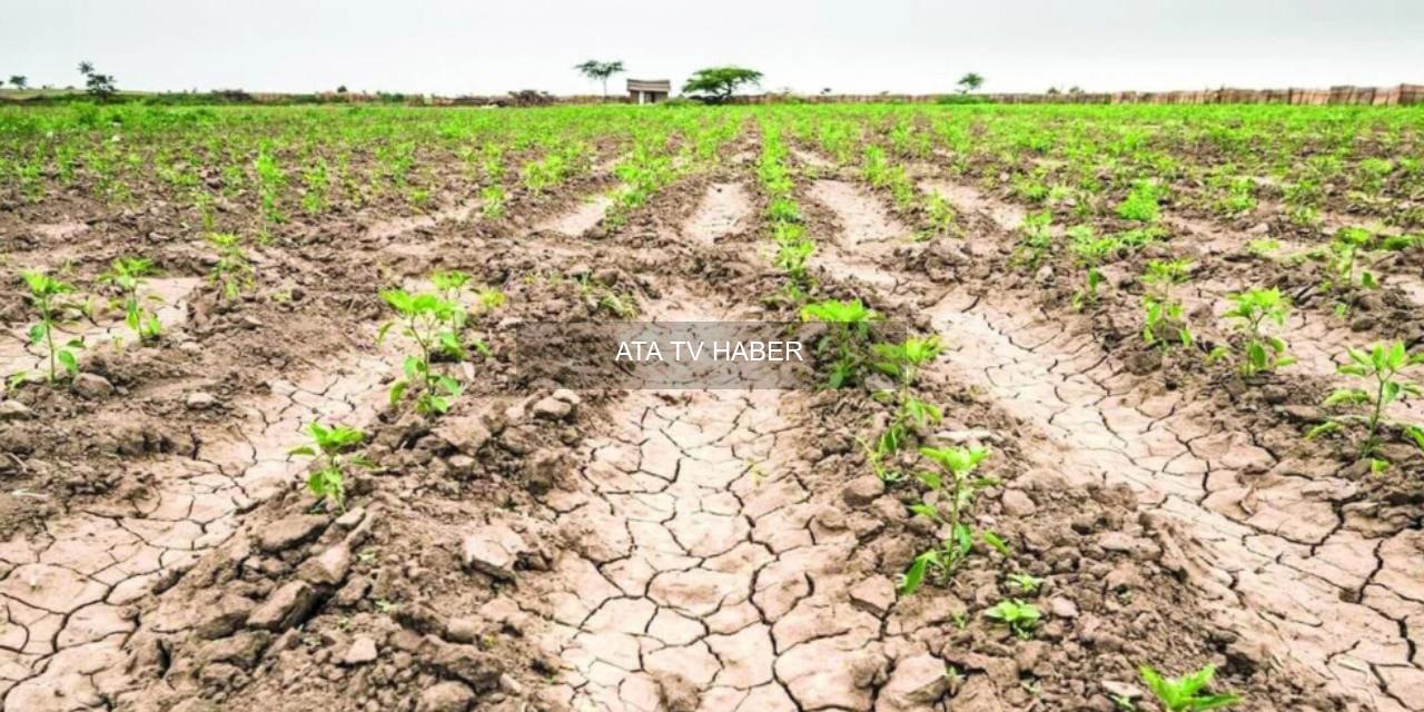 CHP’li Gürer: 2026 İçin Erken Destek Şart — Çiftçinin Girdi ve Kredi Sorunları Tehdit Oluşturuyor