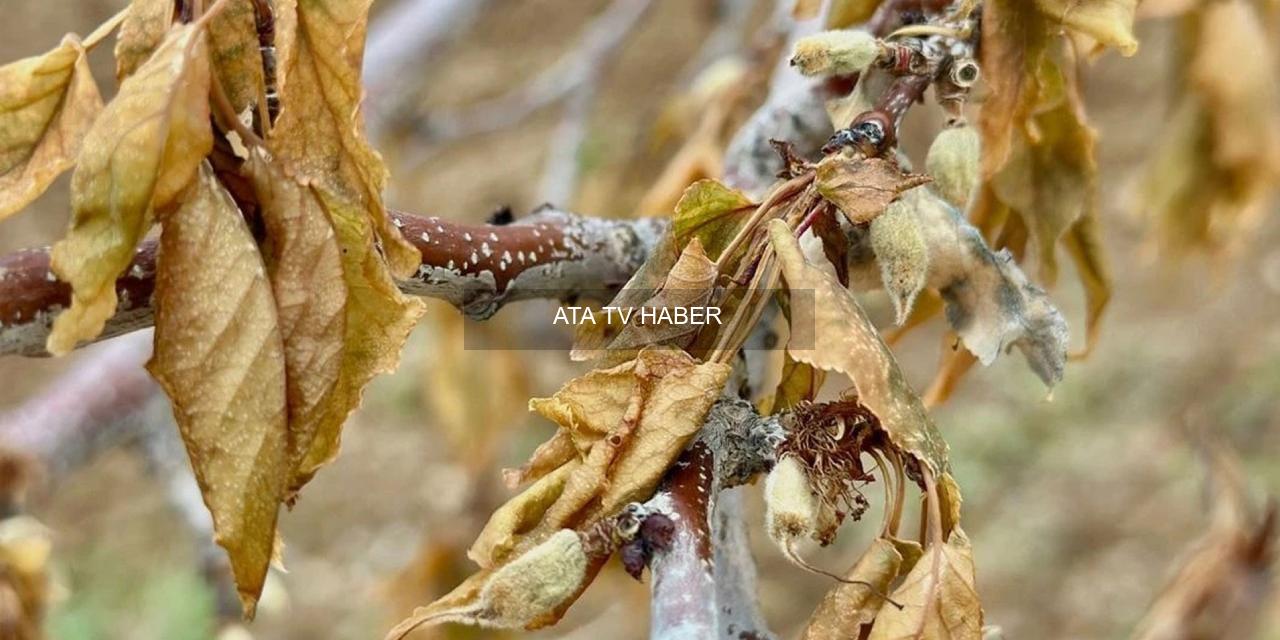 Çiftçi Düşülen Girdaptan Çıkamıyor