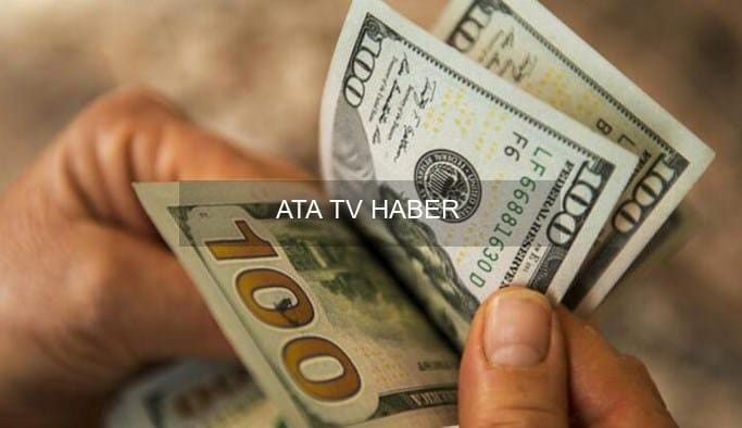 Döviz Piyasalarında Hareketlilik: Dolar 43 TL Eşiğini Aştı, Euro Dalgalı Seyrini Sürdürüyor