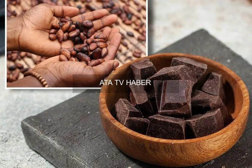 Kakao Fiyatlarında Sert Düşüş: Arz Fazlası ve Teknik Faktörler Piyasayı Baskılıyor