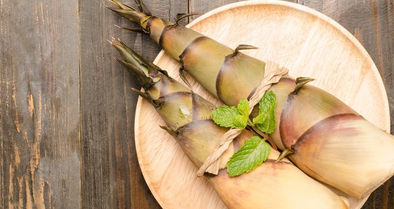 Bambu Filizlerinin Besin Değeri ve Sağlığa Etkileri Bilim dünyası da