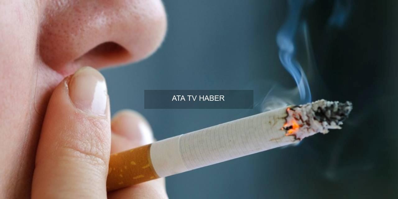 Sigaranın Maliyeti Sadece Doğrudan Harcamalarla Sınırlı Değil