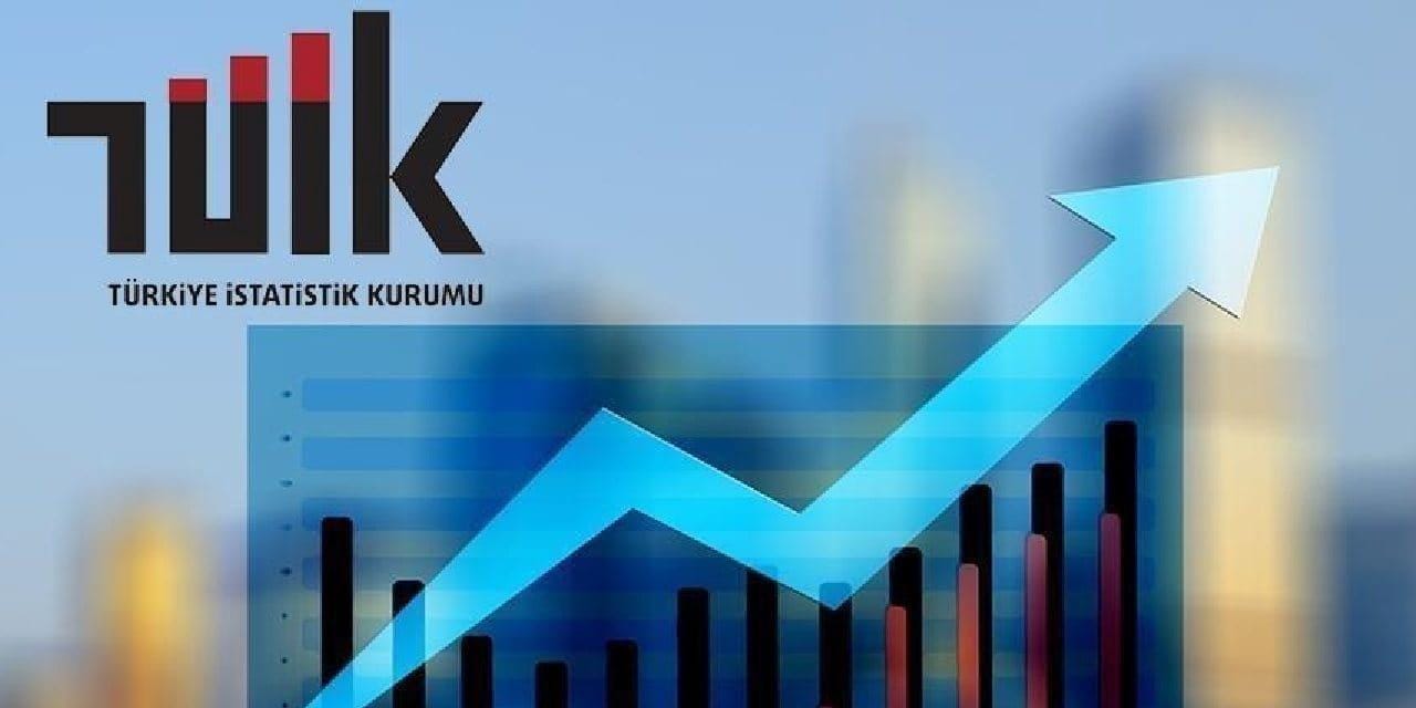 TÜİK Aralık 2025 Enflasyon Verilerini Açıkladı Türkiye İstatistik Kurumu (TÜİK),