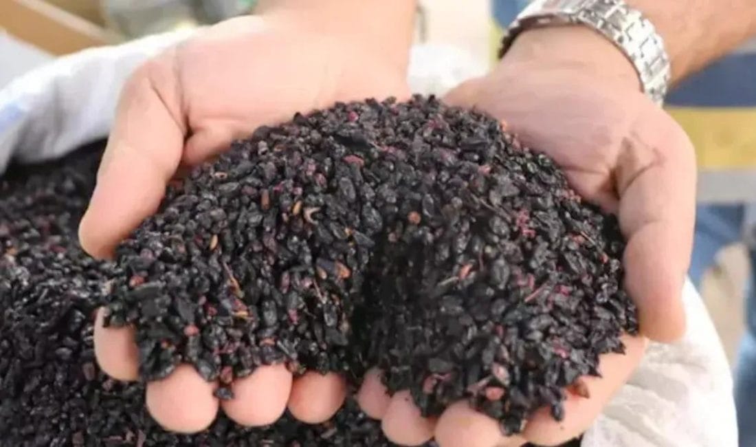 Karamuk: Türkiye’nin Gizli Şifa Kaynağı ve Rus Mutfağındaki Değeri Türkiye’nin