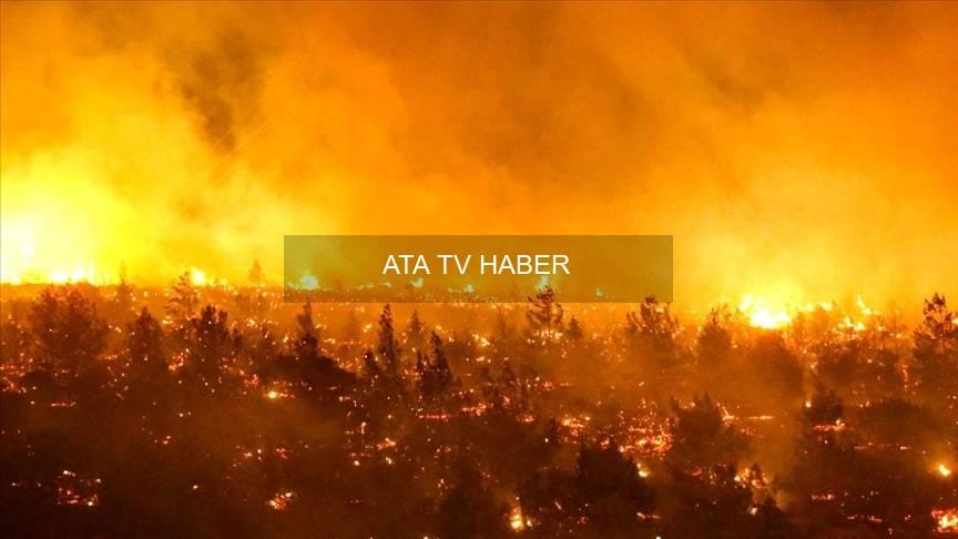 Patagonya Yangınlarının Boyutu