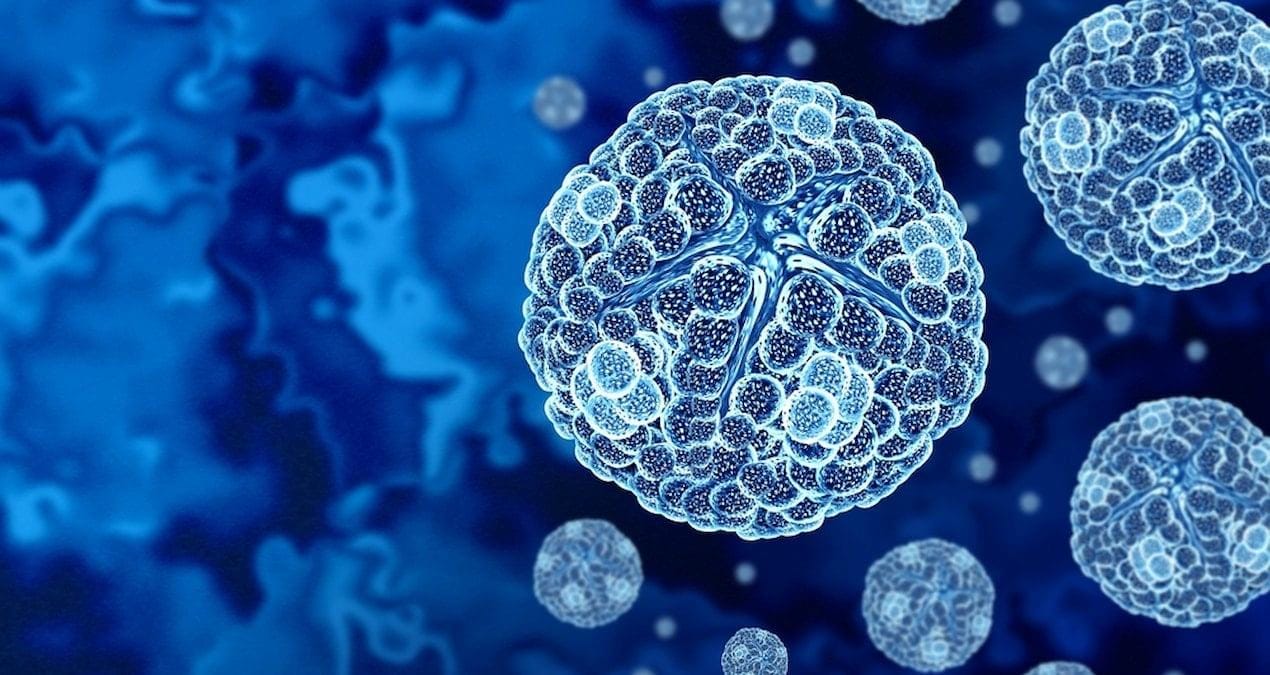 yasamin-tarihi-yeniden-yaziliyor-japonyada-dev-virus-kesfi-cn2Ycq9F.jpg