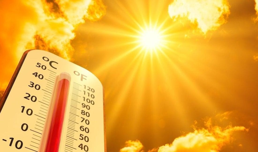 NOAA ve Avustralya Meteoroloji Bürosu: El Niño İhtimali ve Küresel