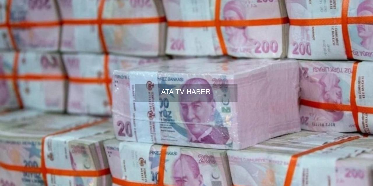 Şirket Bazında Kâr Değişimleri