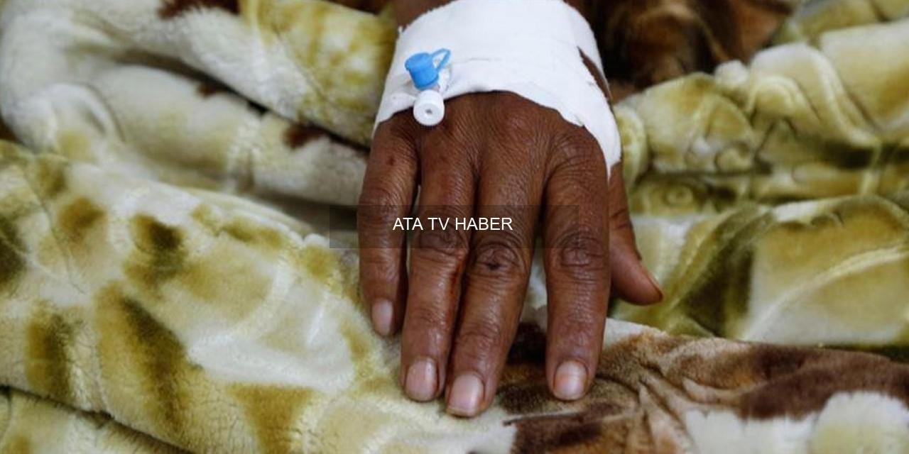 DSÖ Uyarıyor: Evrim Geçiren Şistozom Parazitleri Yeni Bölgelerde ve Cinsel Organlarda Tehdit Oluşturuyor