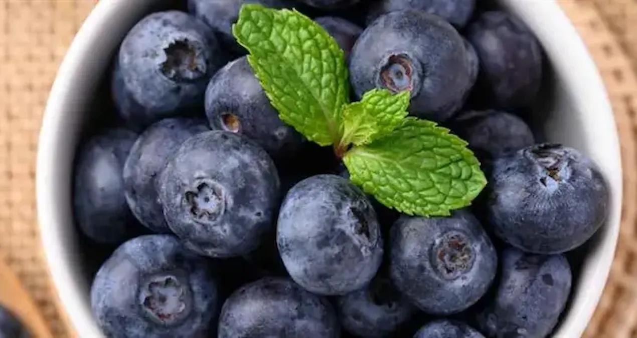 İngiltere’de Yaban Mersini Tüketimi Hızla Artıyor İngiltere’de her yıl yaklaşık