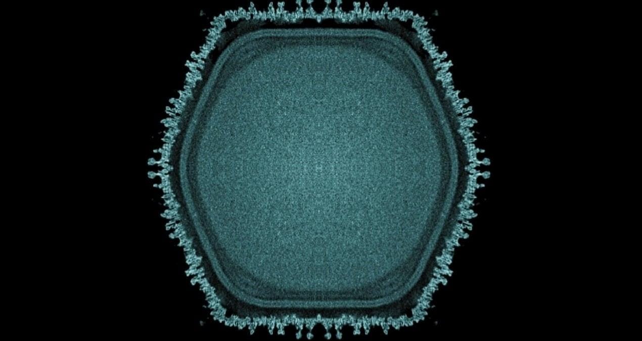golette-gizemli-dev-virus-bulundu-yasamin-tarihi-yeniden-yaziliyor-mWGDLIAq.jpg