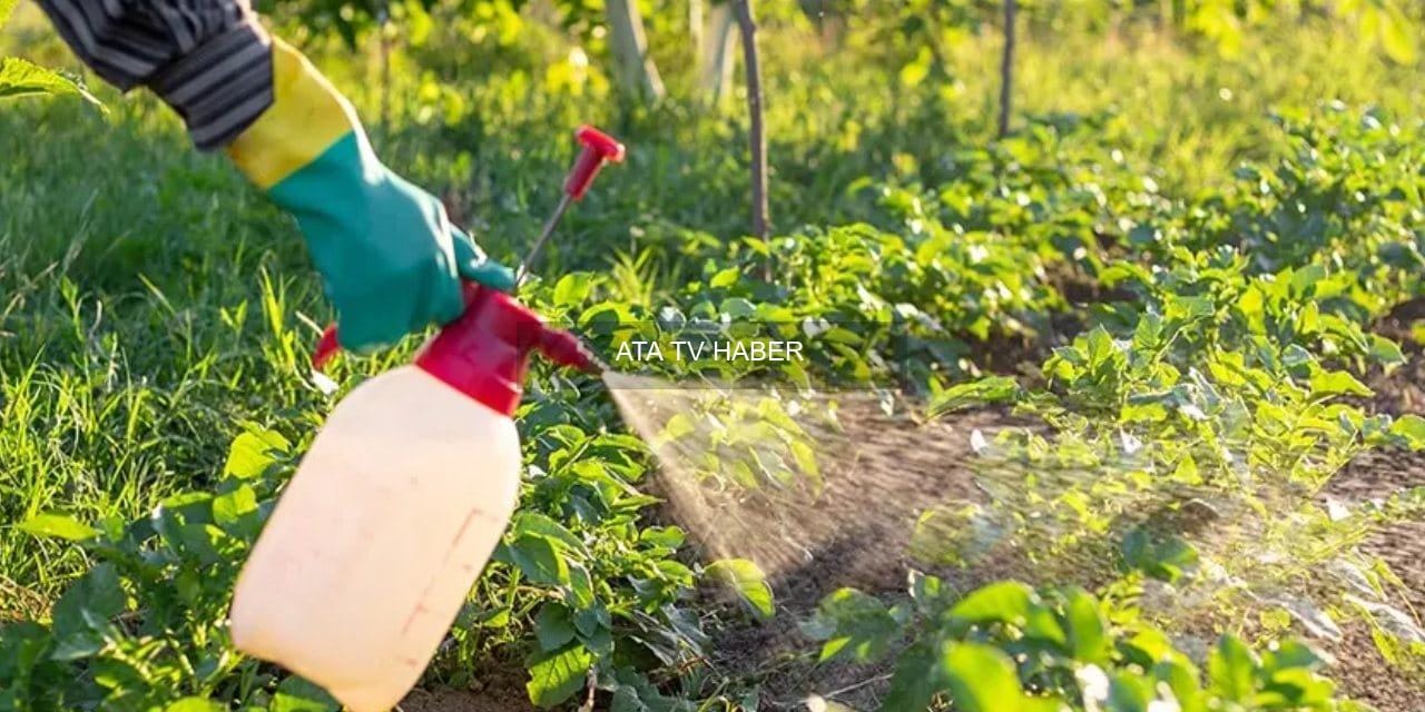 Pestisitten Arındırma Yöntemleri