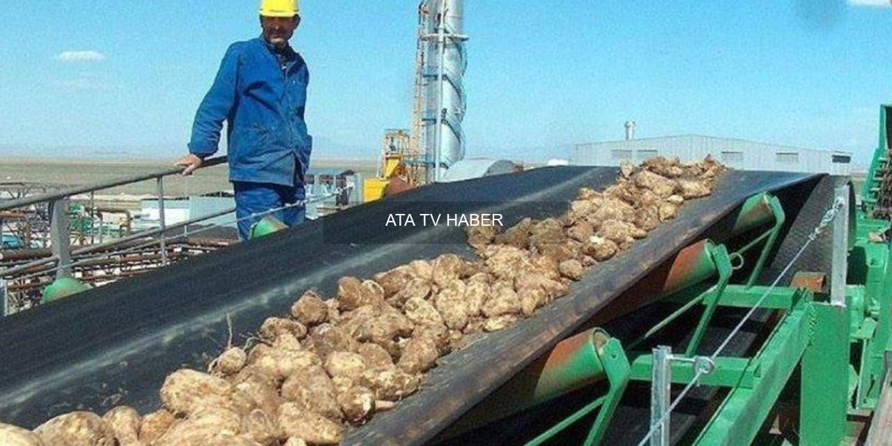 Kamu Arazilerinde Büyük Satış: 57 Bin m²'lik Taşınmaz 640 Milyon TL'ye Özel Sektöre Devredildi