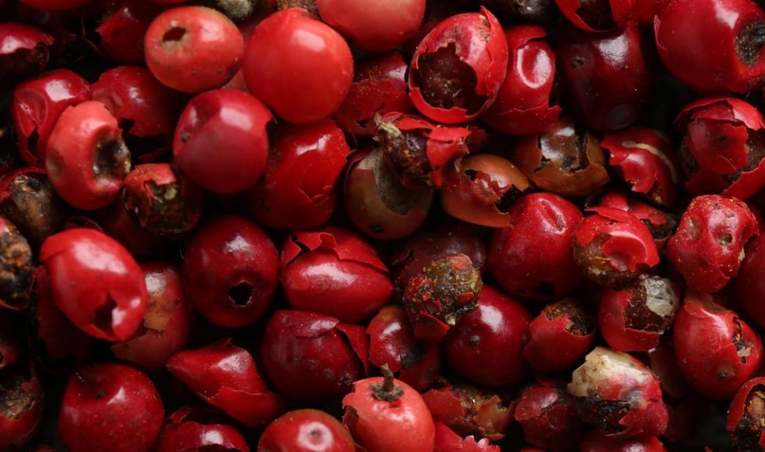 Kışta Bağışıklık İçin Göz Ardı Edilmeyen Meyve: Kuşburnu Soğuk havalarda