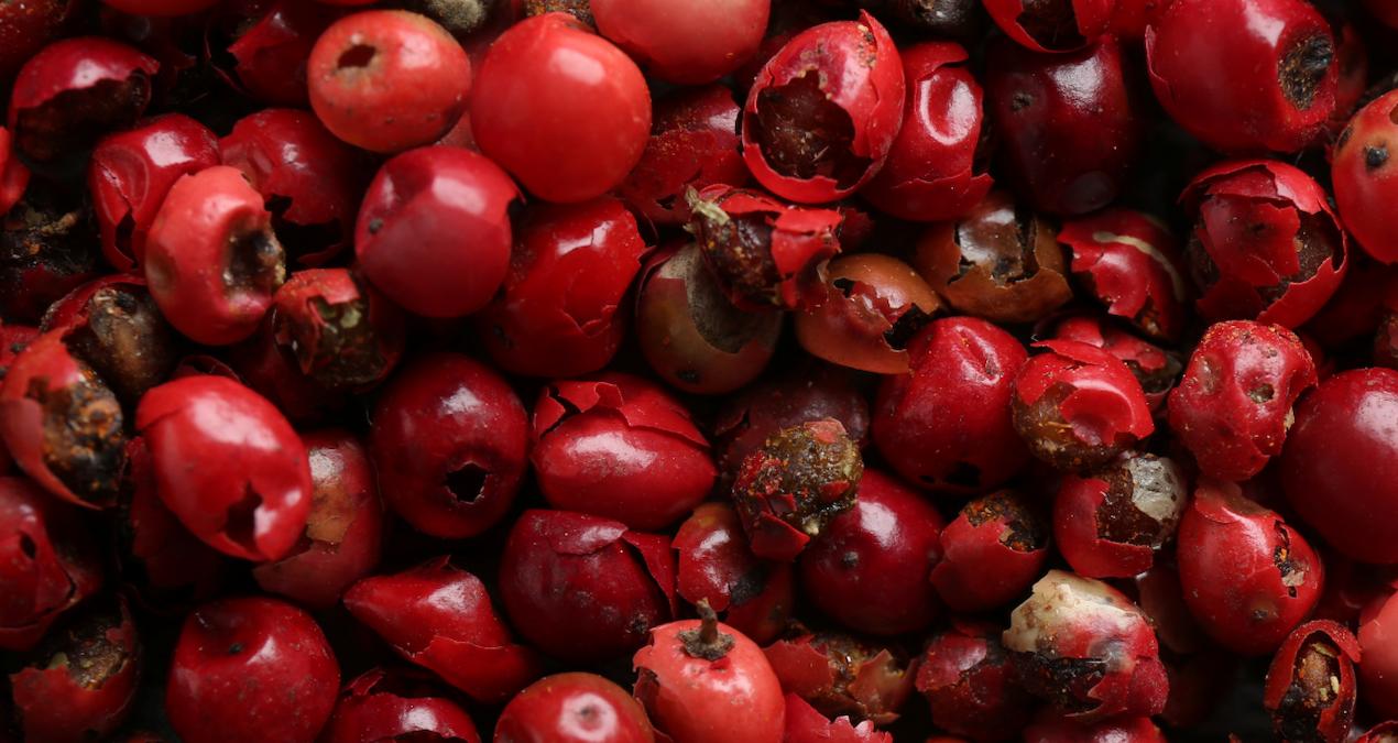 Kışta Bağışıklık İçin Göz Ardı Edilmeyen Meyve: Kuşburnu Soğuk havalarda