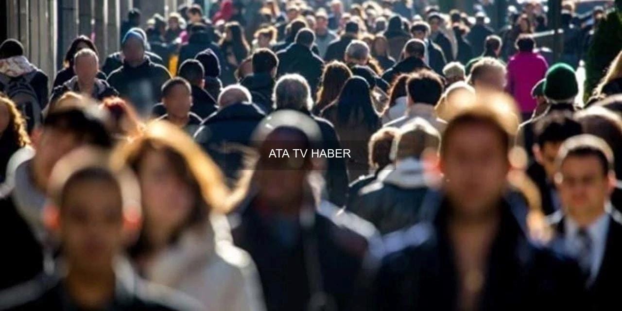 Diploma Bolluğu ve Yetenek Kıtlığı Aynı Anda Yaşanıyor