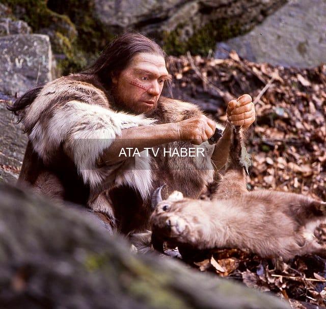 Neandertallerin 125 Bin Yıllık Kemik Yağı Üretim Tesisi: Neumark-Nord'dan Yeni Kanıtlar