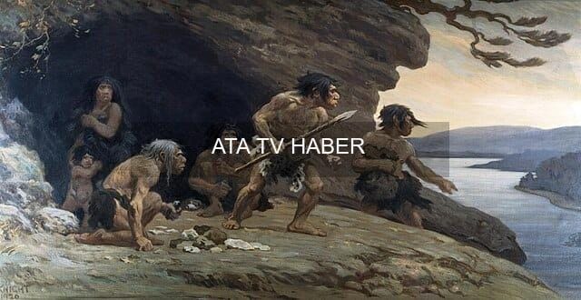 Neandertallerin 125 Bin Yıllık Kemik Yağı Üretim Tesisi: Neumark-Nord'dan Yeni Kanıtlar