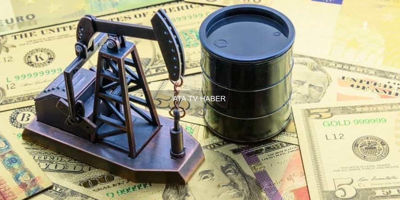 IEA, Küresel Enerji Krizine Karşı Üyelerin Stratejik Stoklarını Rekor Düzeyde Açmayı Öneriyor