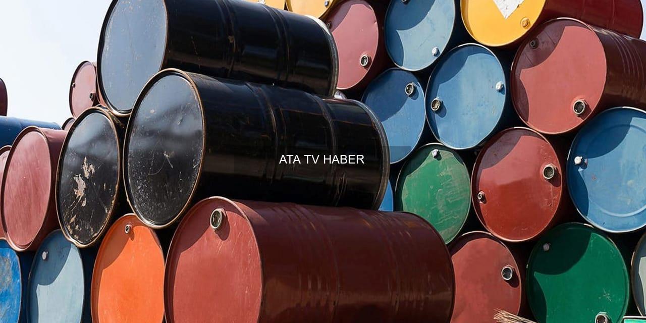 IEA, Küresel Enerji Krizine Karşı Üyelerin Stratejik Stoklarını Rekor Düzeyde Açmayı Öneriyor