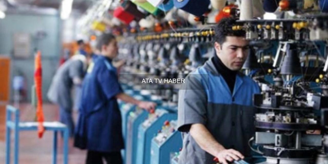 Genç İstihdamına Yönelik Yeni Uygulama: İşsizlik Sigortası Fonu Altı Ay Boyunca Asgari Ücreti ve Sigorta Primini Karşılayacak