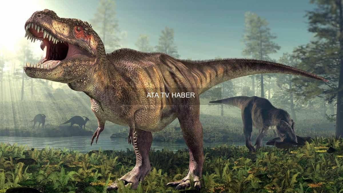 T. rex’in Büyüme Süresi Yeniden Hesaplandı
