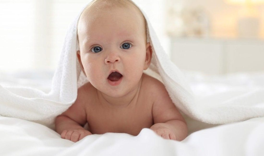 Aşırı Sıcaklıkların Gebelikte Cinsiyet ve Doğum Sonuçlarına Etkisi Araştırmacılar, sıcaklık