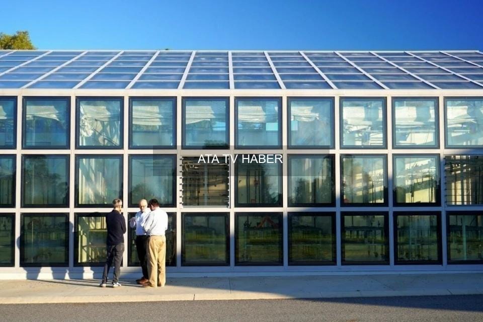 Exeter Üniversitesi'nden PDLC Entegreli Enerji Üreten Akıllı Pencereler