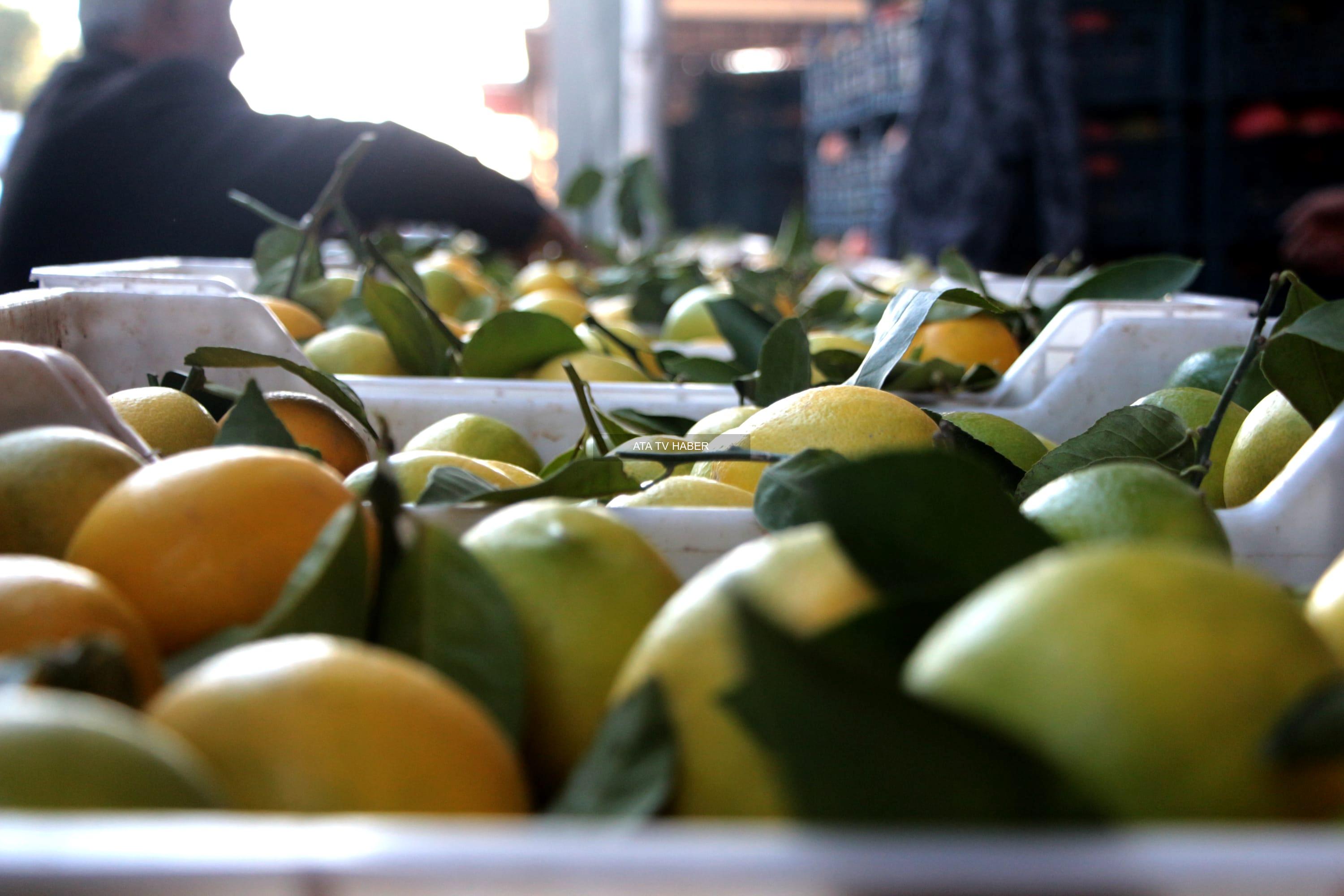 Bakanlıktan Yapılan Açıklama