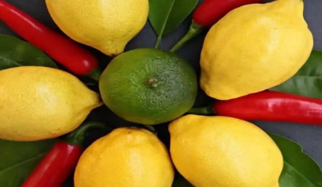 Limon İthalatında Geçici Gümrük Vergisi İndirimi Limon fiyatlarındaki artışı önlemek