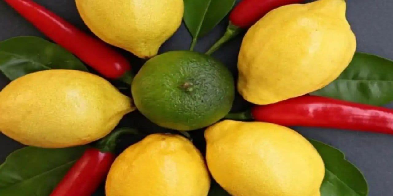 Limon İthalatında Geçici Gümrük Vergisi İndirimi Limon fiyatlarındaki artışı önlemek