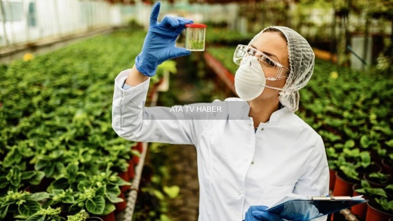 Avrupa toprağının geniş kesimlerinde pestisit kalıntıları tespit edildi