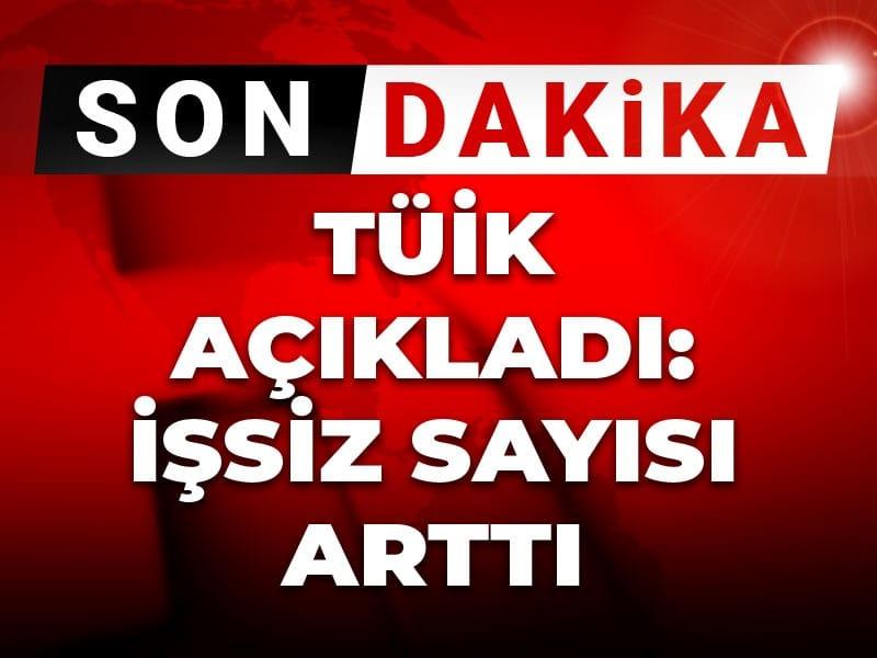 TÜİK Şubat 2026 İşgücü Verileri Açıklandı Türkiye İstatistik Kurumu (TÜİK),