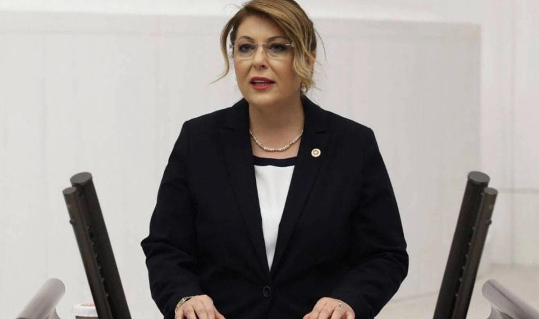 CHP’li Elvan Işık Gezmiş: Giresun’da Madencilik Kararı Köylünün Geleceğini Tehdit