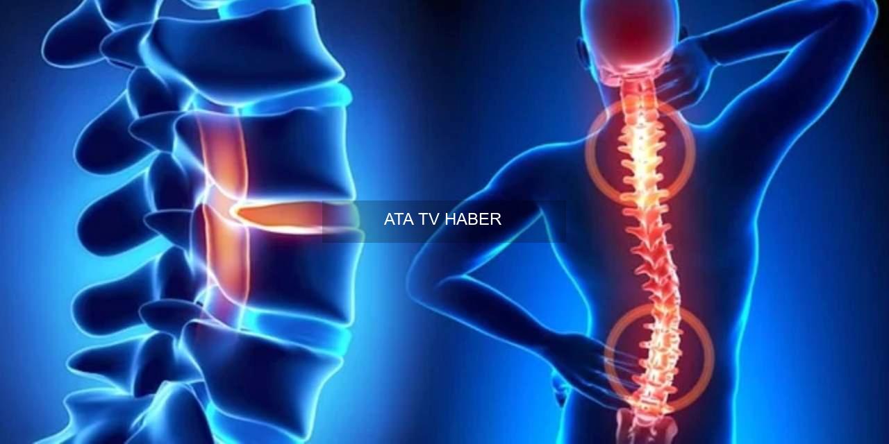 Mesleki Bel Fıtığı Tespitinde Erken Emeklilik ve Tazminat Süreci: SGK Adımları