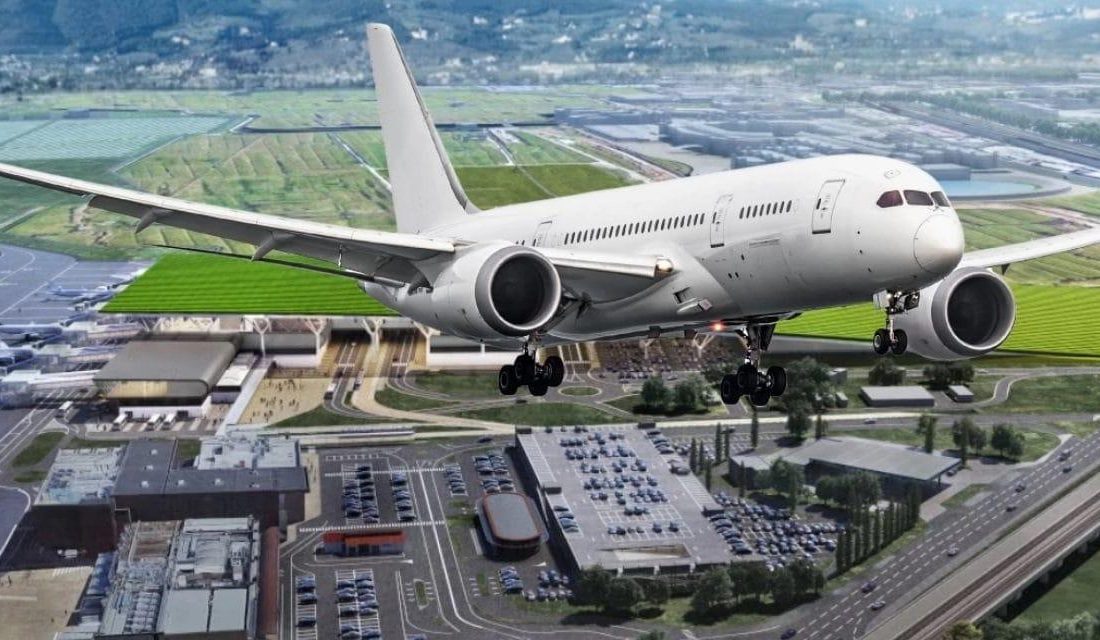 Havalimanı çatısına dev üzüm bağı kuruldu: Alt katta şarap yapacaklar Floransa Vespucci Havalimanı, Terminal Çatısında 8 Hektarlık Üzüm Bağıyla Yeni