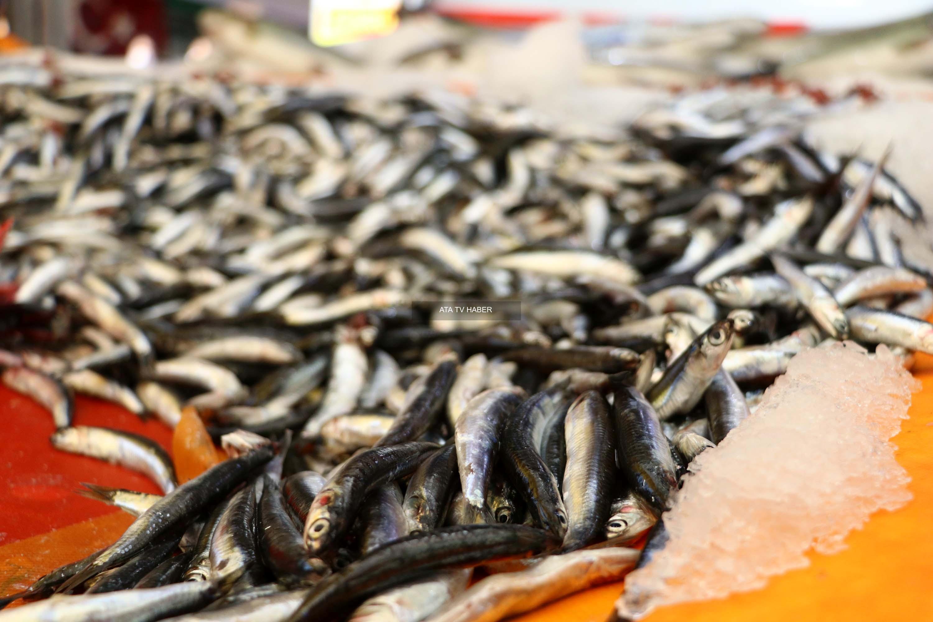 Ayın Zam Şampiyonu ve Öne Çıkan Artışlar