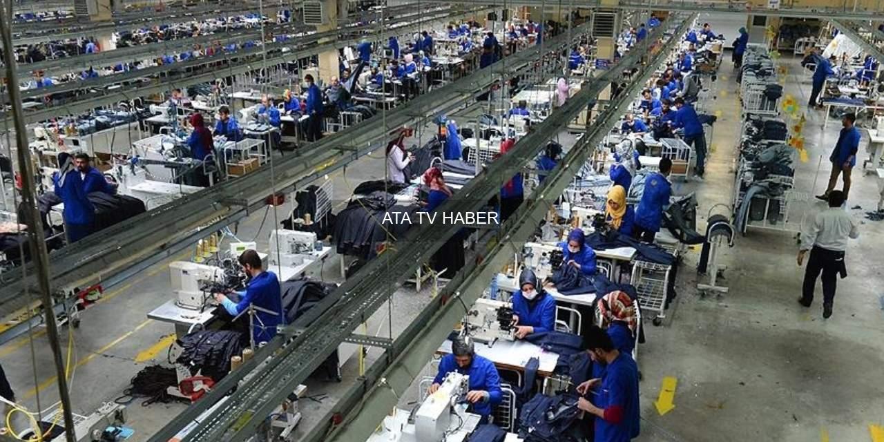 TÜİK Verileri: İstihdam Azalırken İşsizlik Oranlarının Düşüşü ve Bölgesel Parçalanma